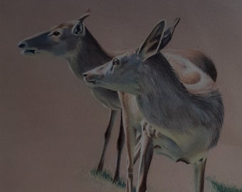 Biches aux pastels secs