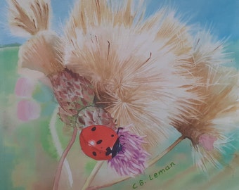 Coccinella