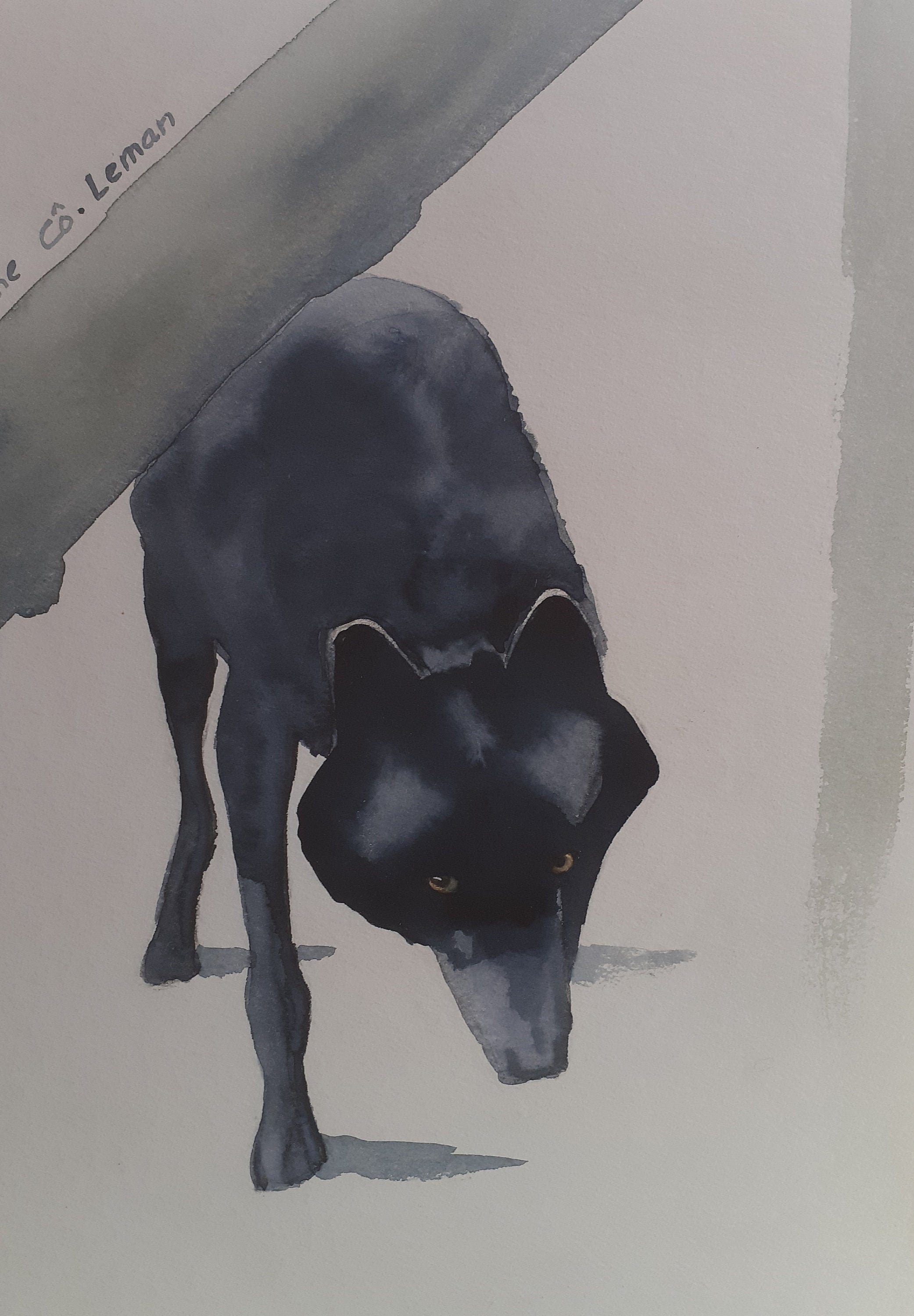 Louvard à L'aquarelle