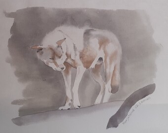 Loup d'Europe à l'aquarelle