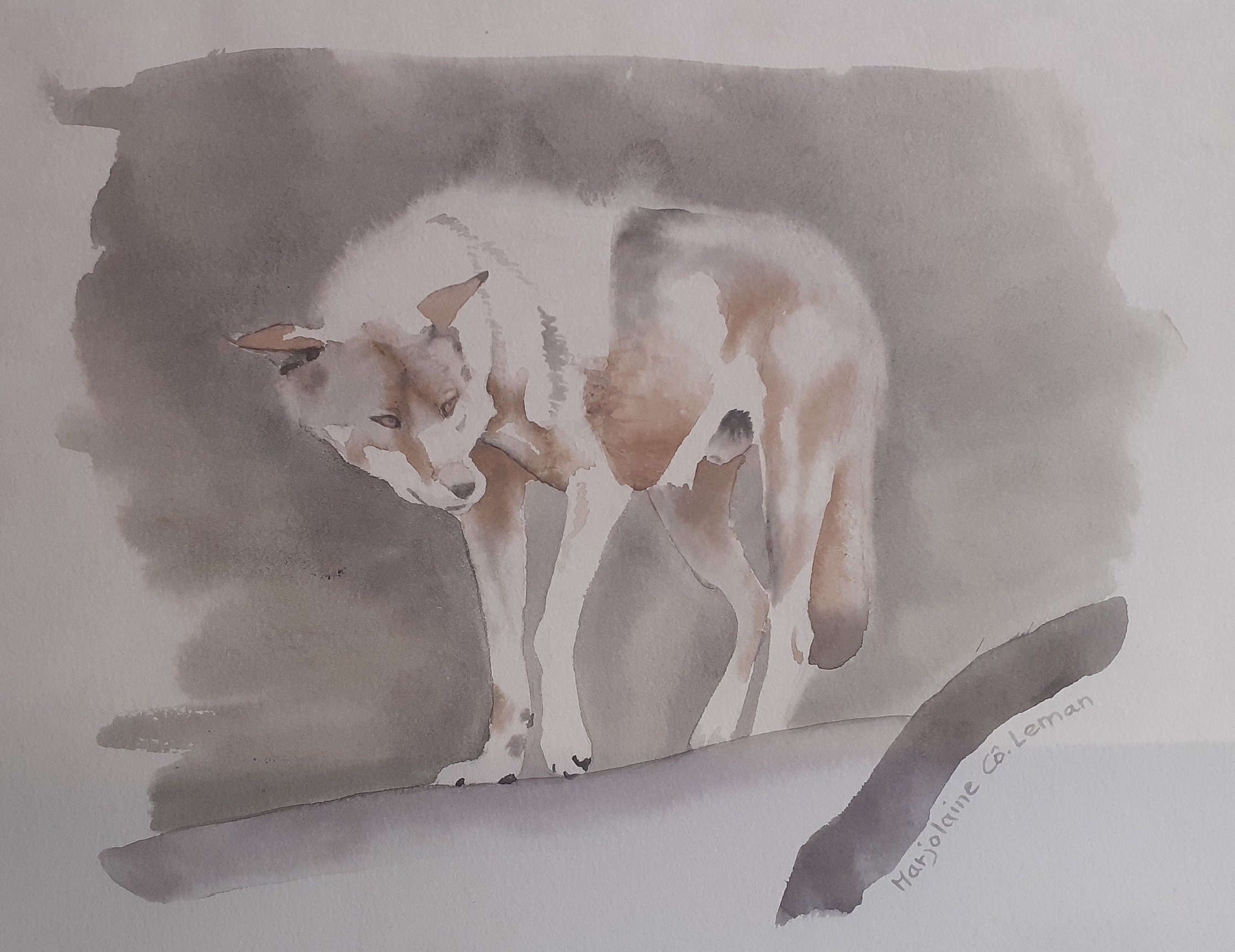 Loup d'europe à L'aquarelle