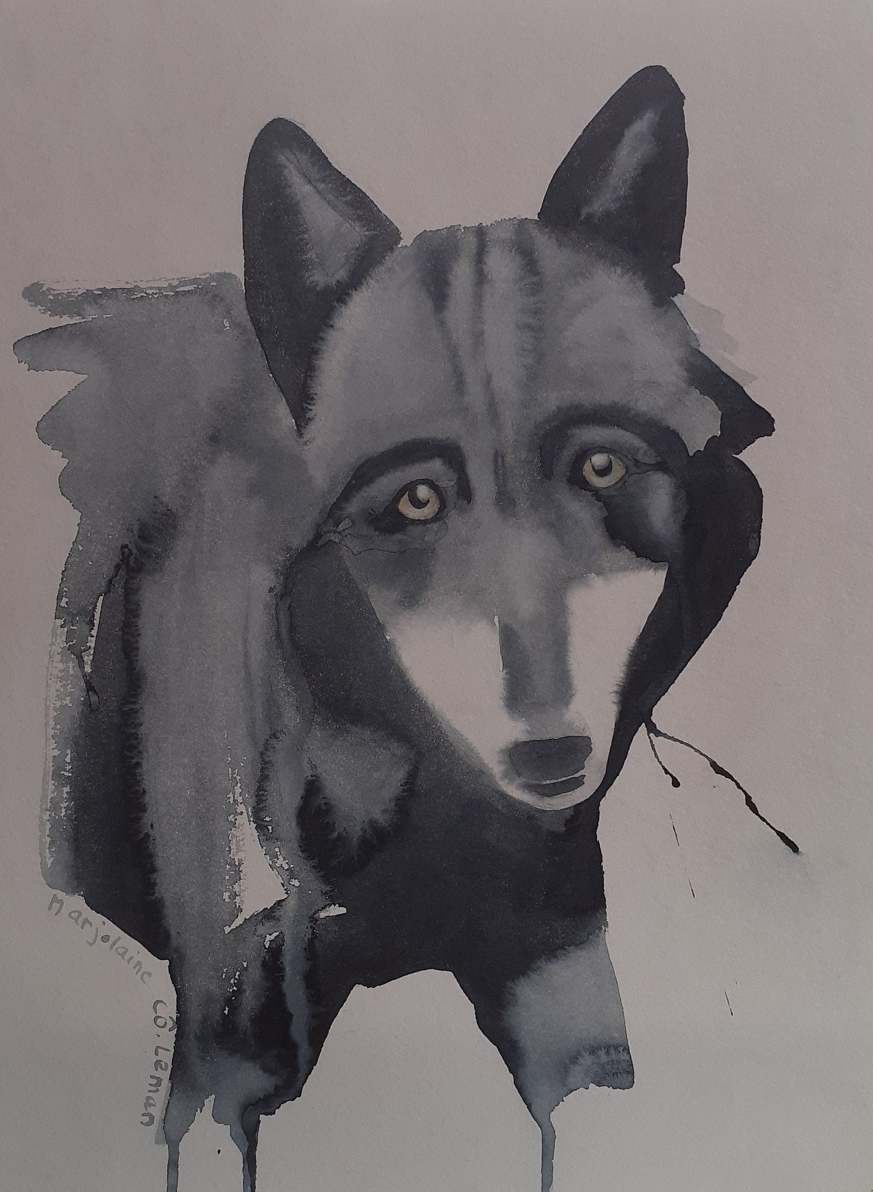 Tête de Loup à L'aquarelle