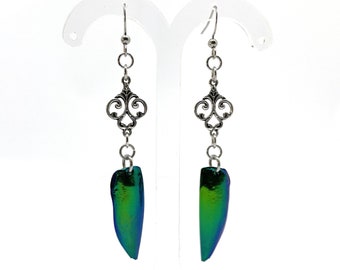 Blue Green Jewel Beetle and Silver Nouveau Ornament Earrings