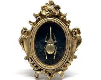 Small Gilded Resin Frame with Brass Beetle on Black Velvet - Gothic Home Deco
