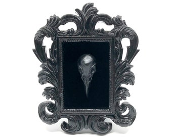 Small Black Resin Square Frame and Bird Skull on Black Velvet Gothic Home Deco