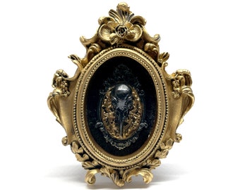 Small Gilded Resin Frame with Resin Bird Skull on Black Velvet - Gothic Home Deco