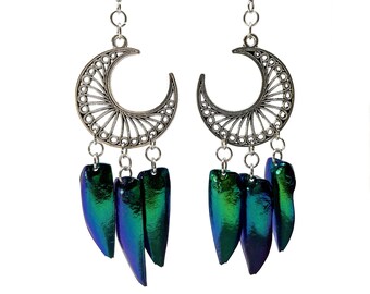 Blue Green Jewel Beetle and Silver Moon Earrings