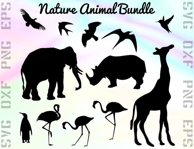 Exotic Animal SVG Files Animal Dxf Files Animal Clipart | Etsy