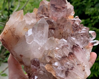 Amazing Red Sunset Phantom Quartz Crystal - Cluster Specimen !!