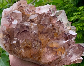 Incredible Gemmy Red Sunset Phantom Quartz Crystal - Cluster Specimen !!