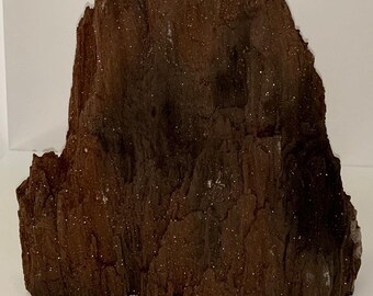 2億2500万年前の研磨された化石化した木の化石マダガスカル458