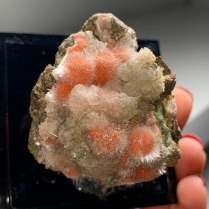 Stunning Orange Thomsonite Geode !!