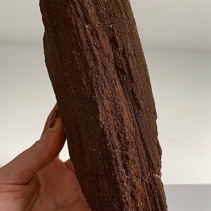 Stunning and Rare Permineralized Fossil Wood with Quartz !!