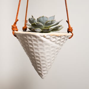 Keramik Kegel Pflanzen Hängetopf mit Lederschnur auf Naturholzring | Konischer Übertopf | Sukkulenten- und Luftpflanzenhalter | Hängekegel