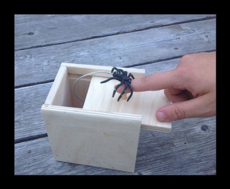 Original Amish Handcrafted Spider Box- Hilarious Toy Prank, Funny Gift Surprise Christmas Gag for Boys,Girls,Adults 4 3/4' x 4 3/4 x 3 1/2' 