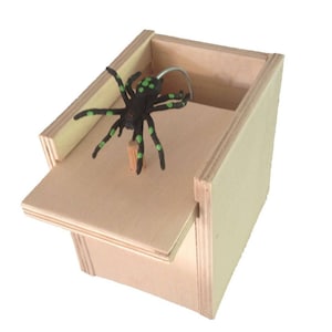 Hilarious Scare Box Spider Prank - Wooden Scarebox Joke Amish Made Amish Wooden Surprise Box natural no paint or color Free shipping