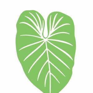 Plant Leaf Decal sticker for car window or laptop, plant mama, alocasia, gardener, caladium, Mothers Day, Crazy Plant Lady,