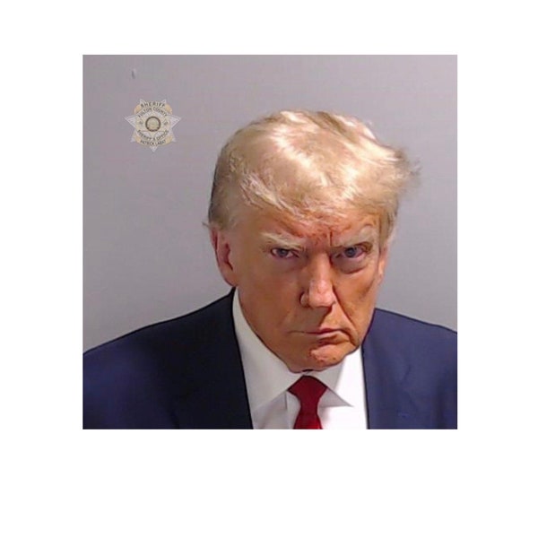 Trump mugshot sticker 4" sticker decal, sticker for laptop or water bottle, maga, republican decal, republican sticker, uv resistent