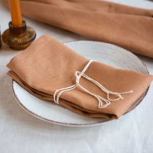 Linen napkins set. Varicolored organic napkin set 2/24. Soft Table Decor. Bulk zero waste reusable washable dinning