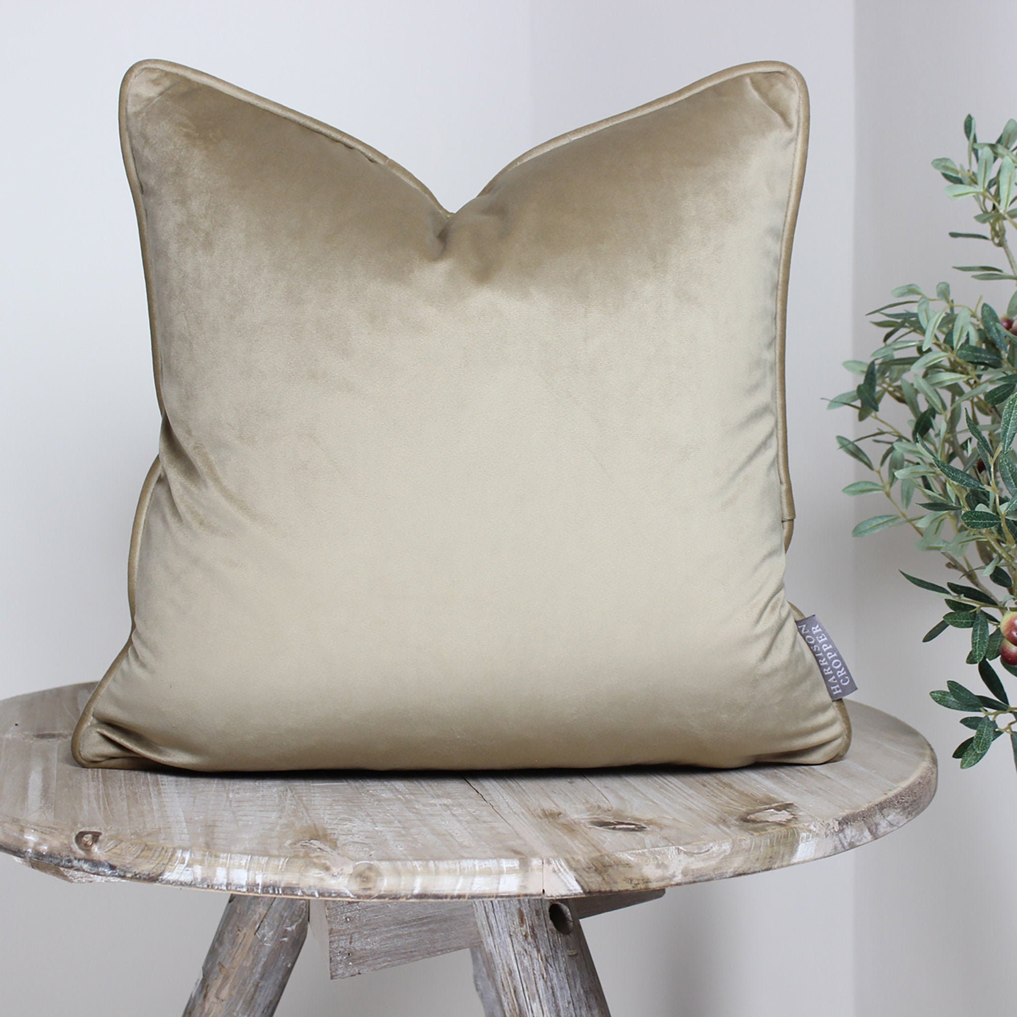 Beige velvet outlet pillow