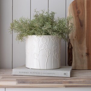 May include: A white ceramic plant pot with a textured floral pattern, holding green, feathery plants. The pot rests on a book titled "Sunday Suppers". The background features a wooden chopping board and white vertical panels.