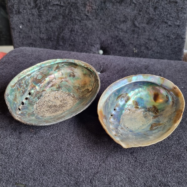 lovely pair of natural Abalone Paua shells ideal for smudging ceremonies or soap dishes