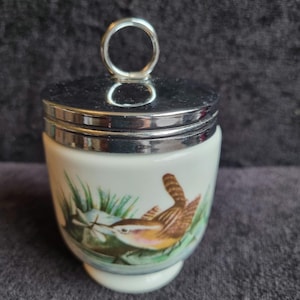 Lovely extra large  1930s design Art Deco Vintage Royal Worcester porcelain double extra large coddler in a fabulous wild bird design.