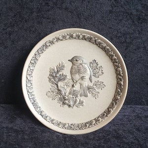 Limitierte Auflage Poole Pottery Bristish Garten Vögel Teller mit The Robin designed by Barbara Linley Adams. Nr 2739 von 5000