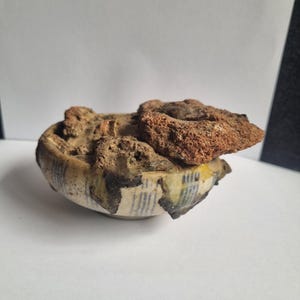 May include: A partially intact, antique ceramic bowl with a faded blue and white striped pattern. The bowl is partially covered with a reddish-brown, textured material, possibly remnants of the original contents or surrounding environment.