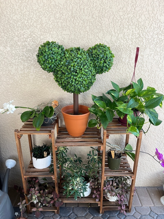 One of a Kind Mickey Mouse Head Topiary | Patio | Home Decor