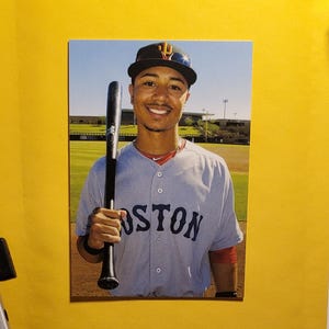 May include: A baseball card featuring a smiling baseball player holding a black baseball bat. The player is wearing a gray jersey with "BOSTON" in navy blue letters. He is also wearing a baseball cap.