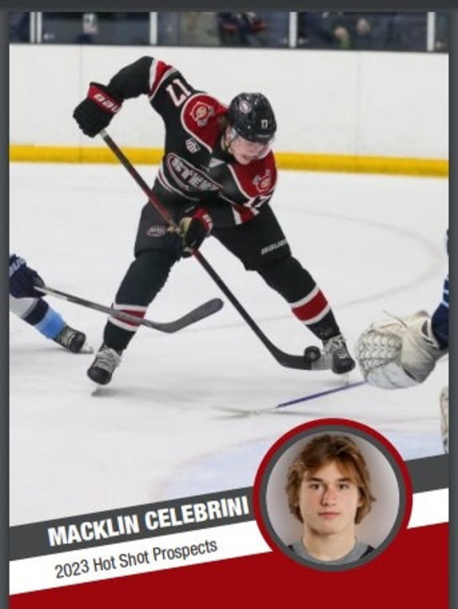 2023 Hot Shot Prospects MACKLIN CELEBRINI Rookie Etsy