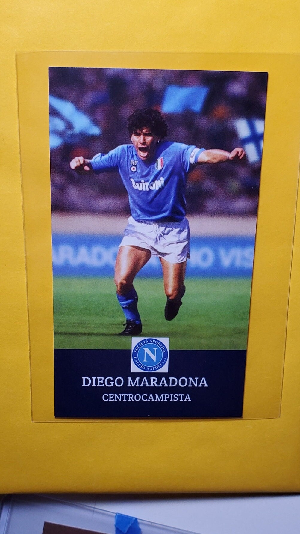 Ssc napoli flag - Etsy 日本