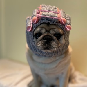 Stickad mops Halloweenkostym/ Hårrullar Grå glitter/ Skönhetsrullekostym med hatt/ Handgjord! 100 % av vinsten går till välgörenhet