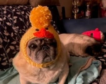 The Farm Series:  DUCK knitted hat for pug / dog  Spring Easter Halloween - 100% goes to pug rescue