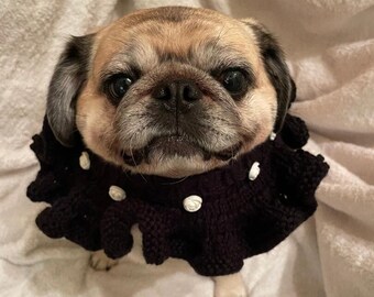 Rose Nylund 'Rosie' with 9 white charms & 1 red charm in honor of Rose Nylund on black ruffle collar for pug /dog  - 100% goes to pug rescue