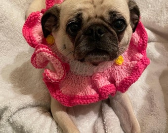 Barbie II with multicolored rose charms on a premium pink & white ruffle collar for pug / dog    - 100% goes to pug rescue