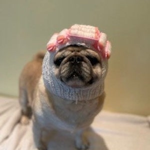 Stickad mops Halloween-kostym/ Hårrullar Vit glitter / Hund Katt-kostym / Katt-kostym / Handgjord! 100 % av vinsten går till välgörenhet