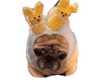 Blue Knit Pug Hat Snood with Easter Bunnies- Easter Pug Love Hand Made!  100% profits go to charity