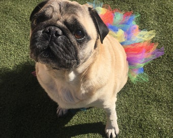 Rainbow / Pride / Confetti Dog Tutu, Cat Tutu, Pet gift.  Handmade.  100% profits to Charity