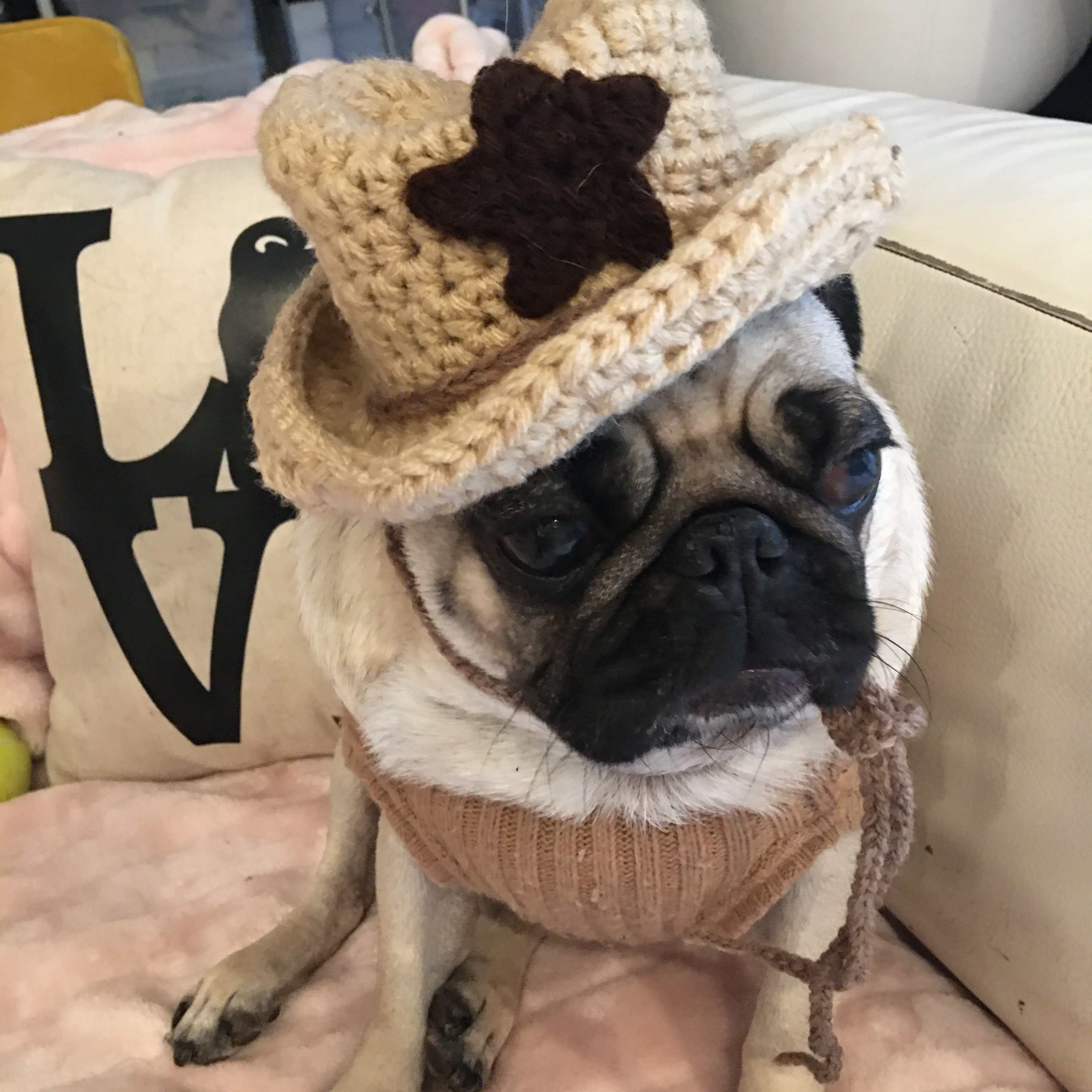 medium dog igloo bed