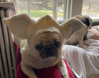 La versión dorada: Snood inspirado en Star Pugs/ Sombrero de perro inspirado en Yoda/ Sombrero de perro inspirado en Star Wars/ Inspirado en Yoda