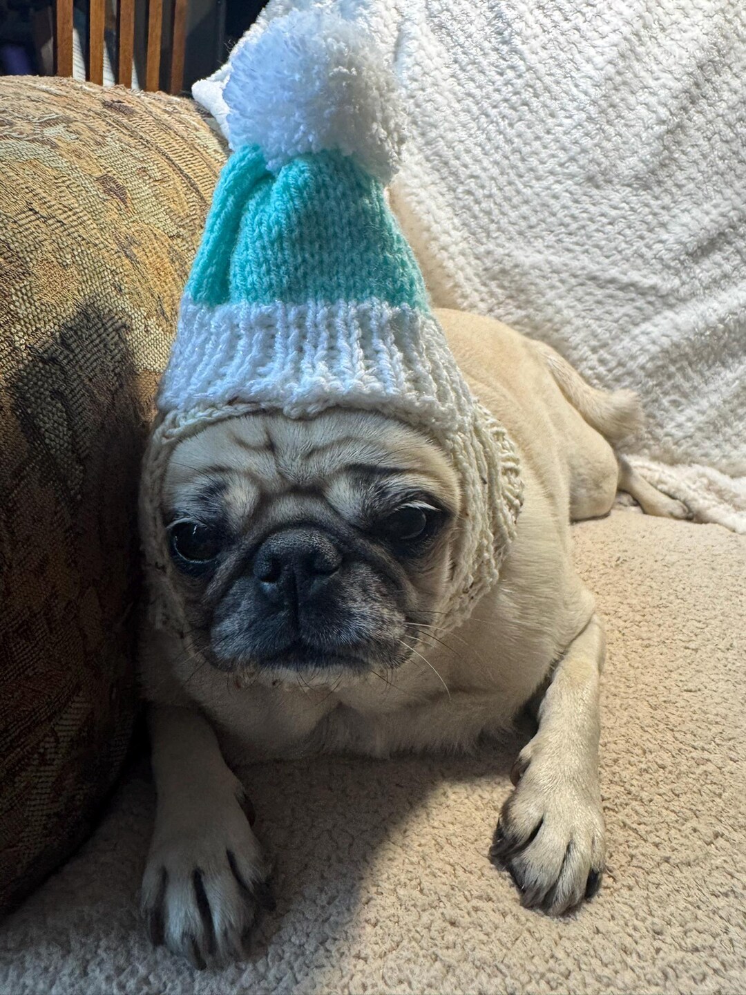 Knit Pug Hat/snood With Pom Pom/hand Made!/ 100% Profits Go to Charity ...
