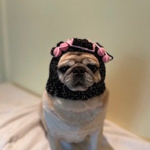 Puede incluir: Un perro pug beige con un sombrero negro tejido con detalles de flores rosas. El perro está sentado sobre una superficie blanca contra un fondo amarillo claro. El sombrero enmarca la cara del perro.