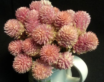 Dried Flower Stems Etsy