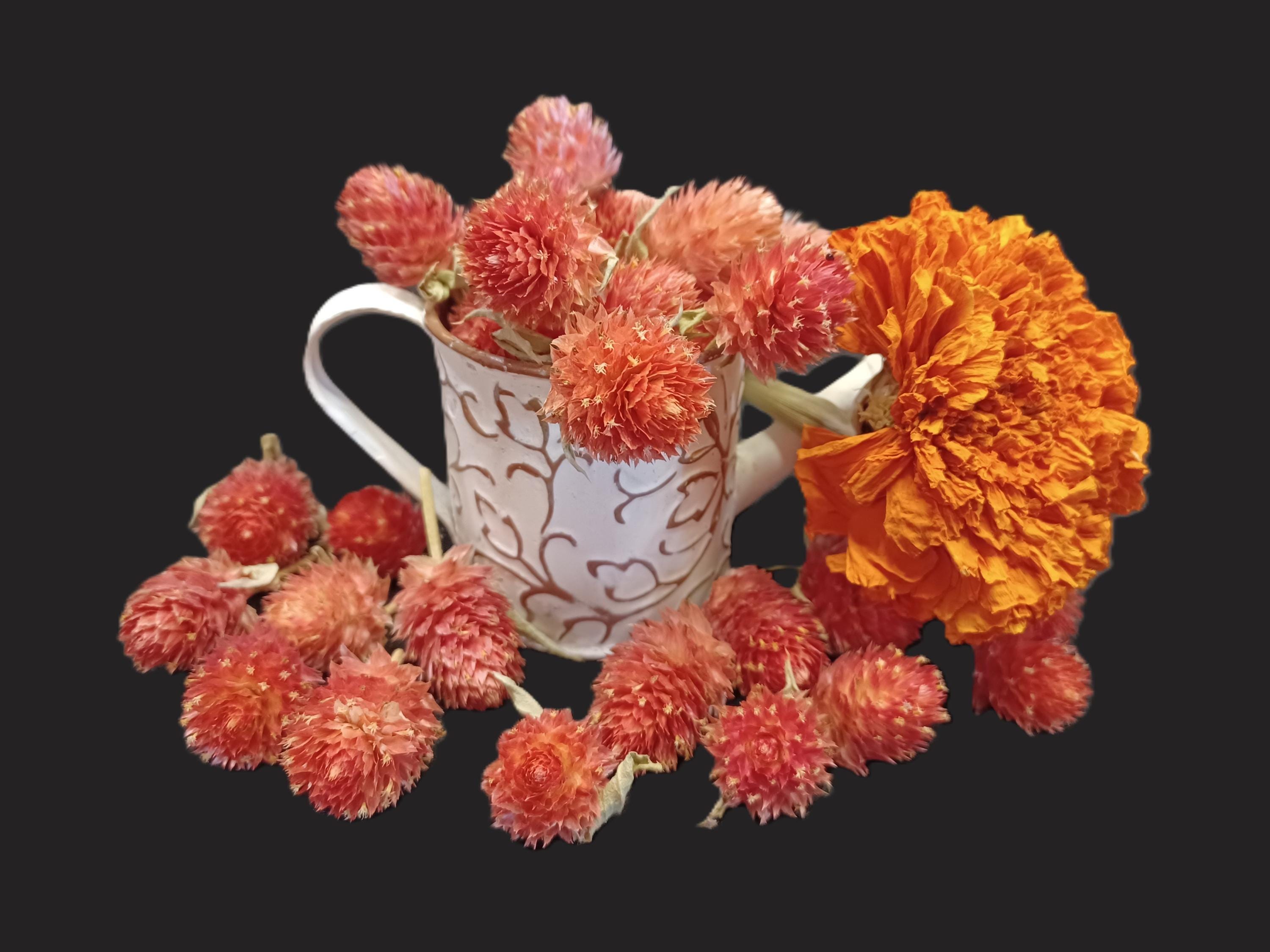 30 Gomphrena, Orange-Salmon-Cantaloupe Shades Mix, 1/2 - 3/4" Flower size, No Stems, Mini Dried Flowers, Small Dried Flowers