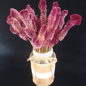 May include: A bouquet of deep magenta celosia flowers with fuzzy, plume-like textures arranged in a clear glass jar. The jar is wrapped in a band of tan burlap and white lace, secured with a thin piece of twine tied in a bow around the neck.