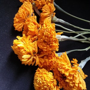 10 Marigold, Light Orange/Pumpkin, 1 1/2 to 2" flower size, 10-12" total length