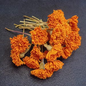 May include: A bunch of dried orange marigold flowers with stems and leaves.