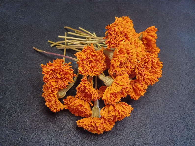 May include: A bunch of dried orange marigold flowers with stems and leaves.